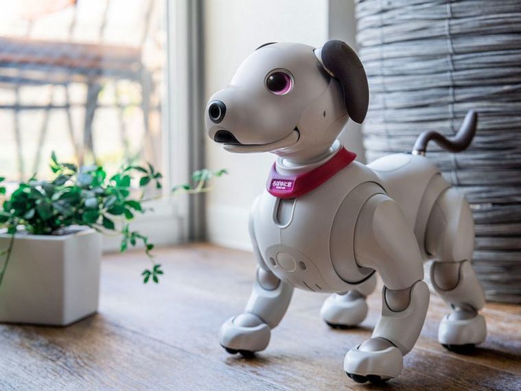 aibo 首輪 - 犬用品