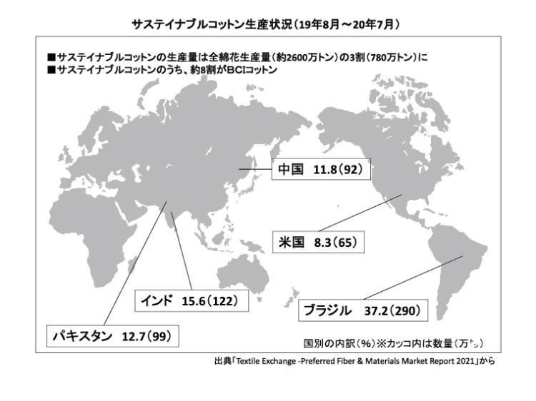 ファッションとサステイナビリティー】教えて！コットンのアレコレ