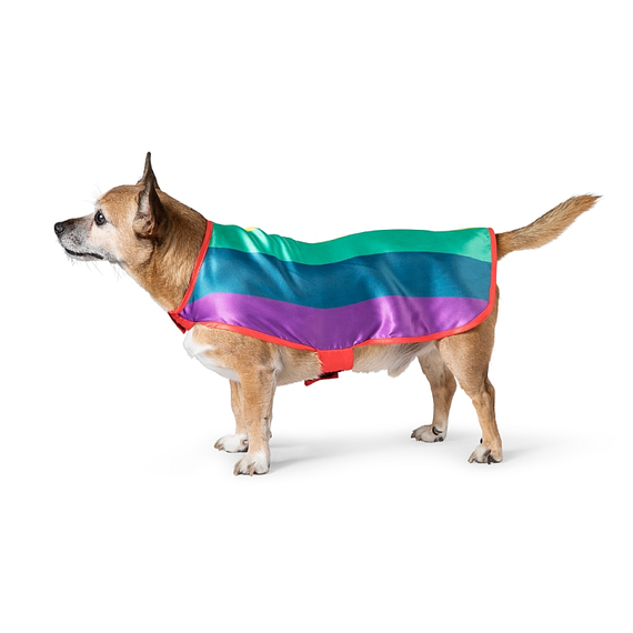 性の多様性を示すレインボー 日常使いアイテムで広がる | 繊研新聞