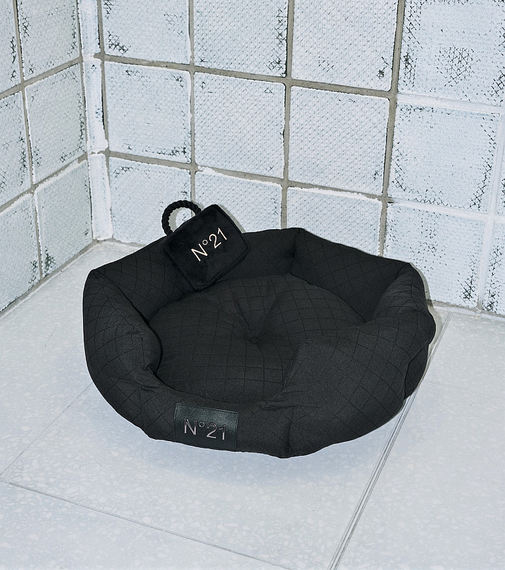 N21の日本限定プロジェクト「ガラージュヴェントゥーノ」 「ペギオン