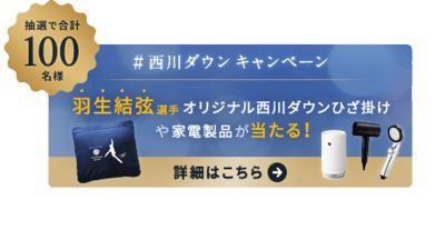 西川ダウンキャンペーン