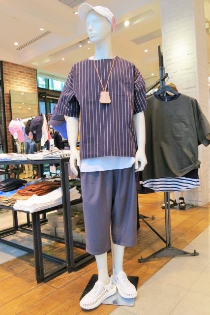 シップス②