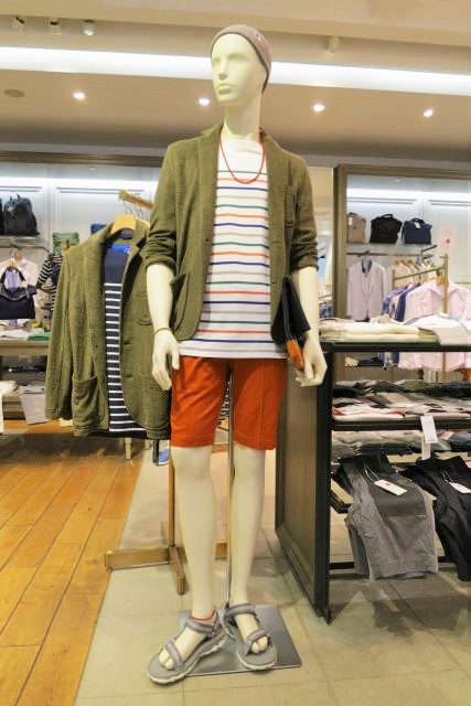 シップス①