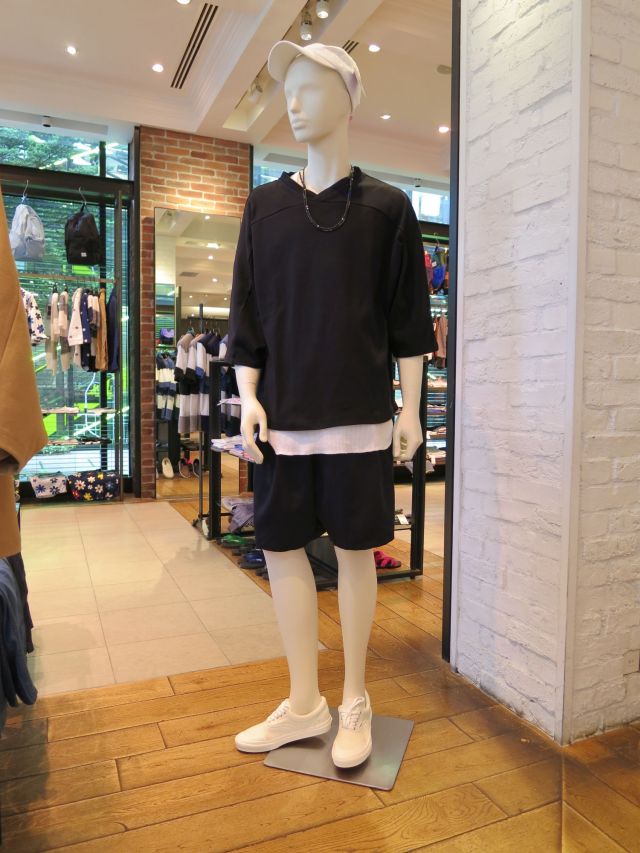 シップス①